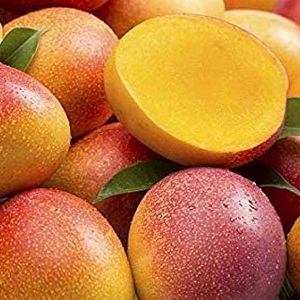 Himayath (Imam Pasand) 4Kg